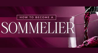 Zero Foundation? No Problem! A Beginner's Sommelier Certification Recommendation