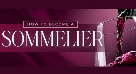 Zero Foundation? No Problem! A Beginner's Sommelier Certification Recommendation